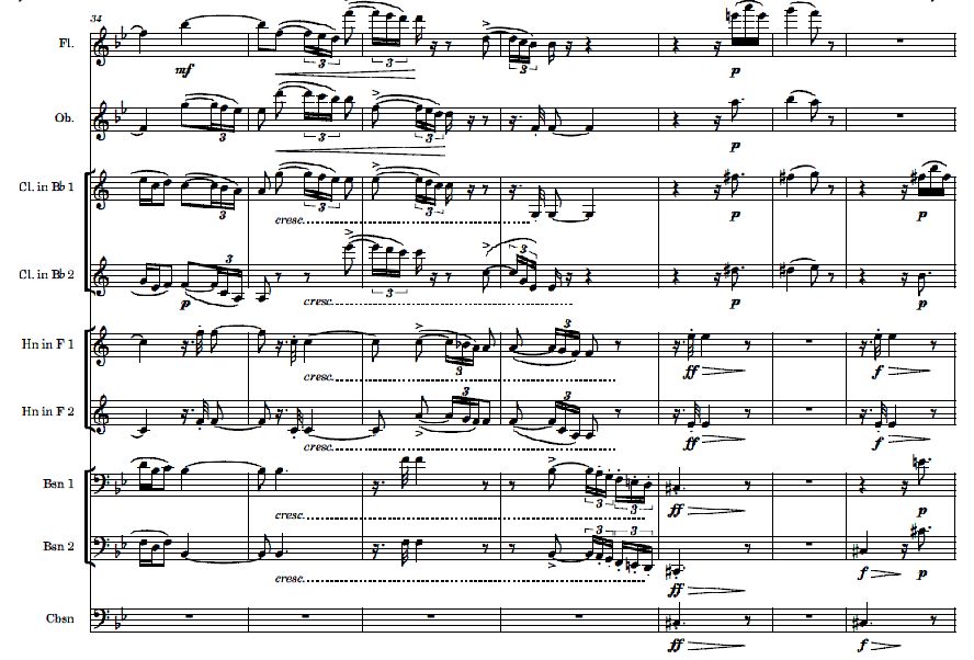 R.Strauss Suite opus 4